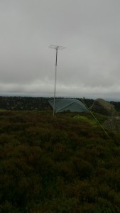 Tarp and Antenna